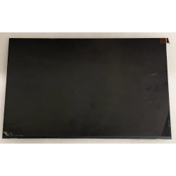 Display laptop AU Optronics...